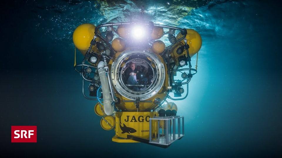 Arch-ologie-unter-Wasser-Werkzeuge-Waffen-Wracks-unterwegs-zu-den-Sch-tzen-der-Tiefe