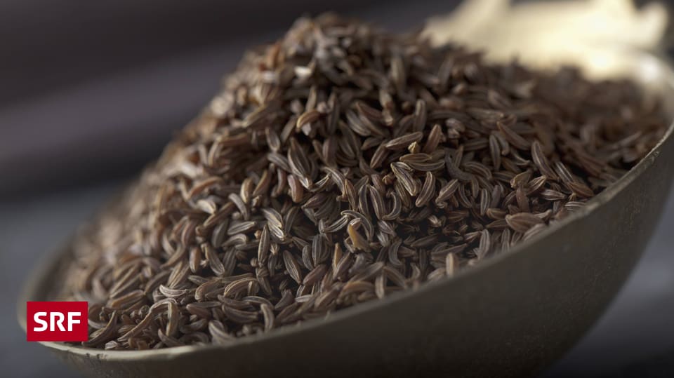 Gegen Was Hilft Fenchel Anis Kummel Tee Lifestyle - Arzneimittelpflanze 2016: Der Kümmel kann's - Puls - SRF