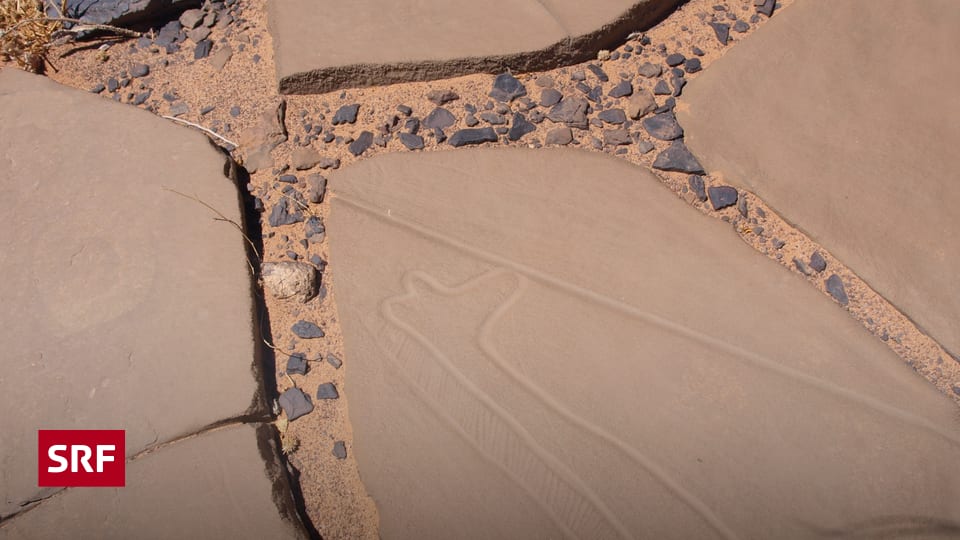 Vorzeitliche Kunstwerke - Die bedrohten Kunstschtze der Westsahara -  Wissen - SRF