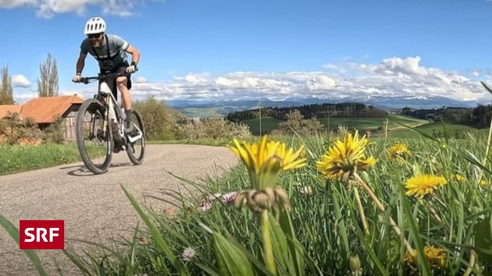 E-Bikes sind für die Faulen? Ein Selbstversuch und der Blick in die Forschungsdaten mit überraschenden Ergebnissen. E-Bikes sind für die Faulen? Ein Selbstversuch und der Blick in die Forschungsdaten mit überraschenden Ergebnissen.