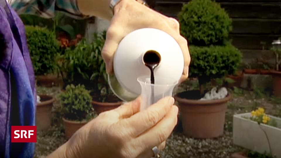 Testsieger - Dnger im Test: Fast alle enthalten Schwermetalle -  Kassensturz Espresso - SRF