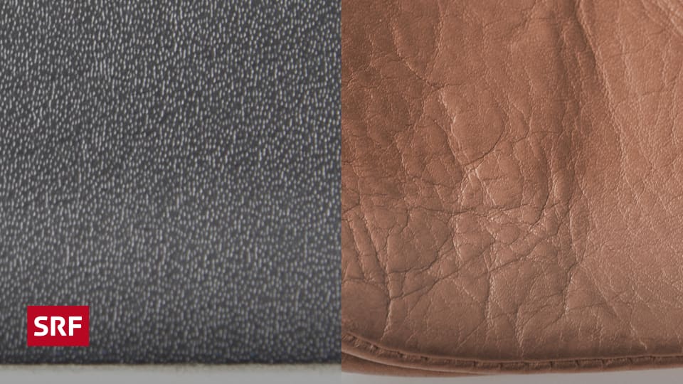 Services Leder, fast wie das Original Kassensturz Espresso SRF