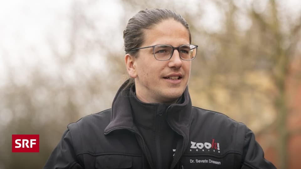 Lesetipps-vom-Zoo-Direktor-Auf-dem-Pferder-cken-Was-und-wo-der-Z-rcher-Zoochef-liest