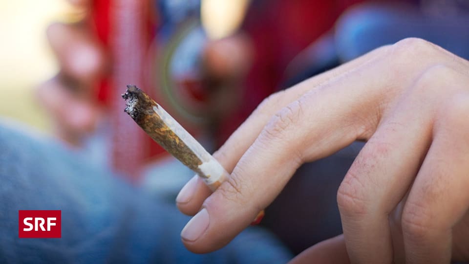 Kiffender Nachbar «Darf mein Nachbar ständig auf dem Balkon qualmen