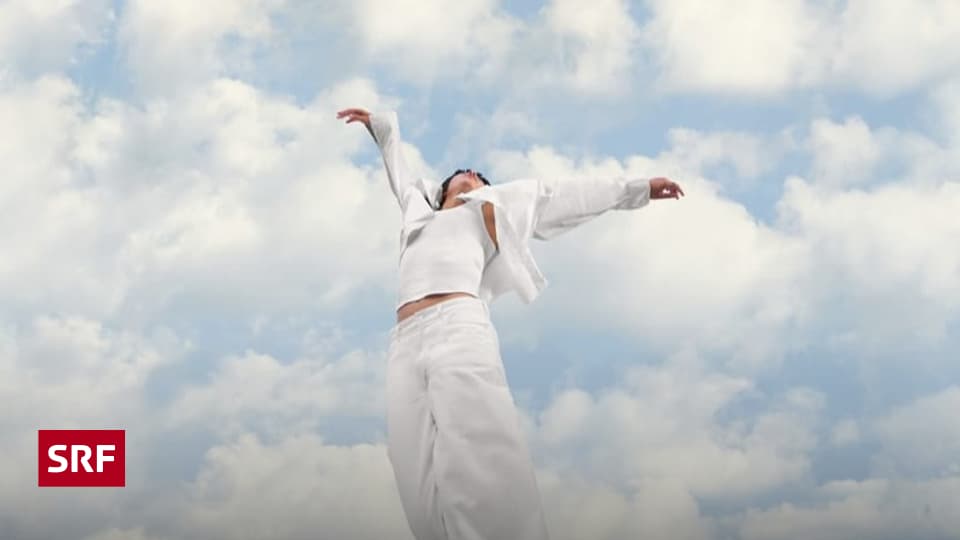 Glosse-zur-Pantone-Farbe-2026-Die-Pantone-Farbe-des-Jahres-2026-Der-Gipfel-der-Neutralit-t