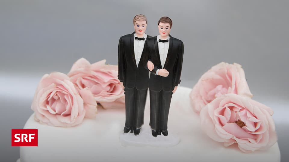 Bisexuelle Kumpels teilen sich geile Braut Bisexuelle Kumpels teilen sich geile Braut