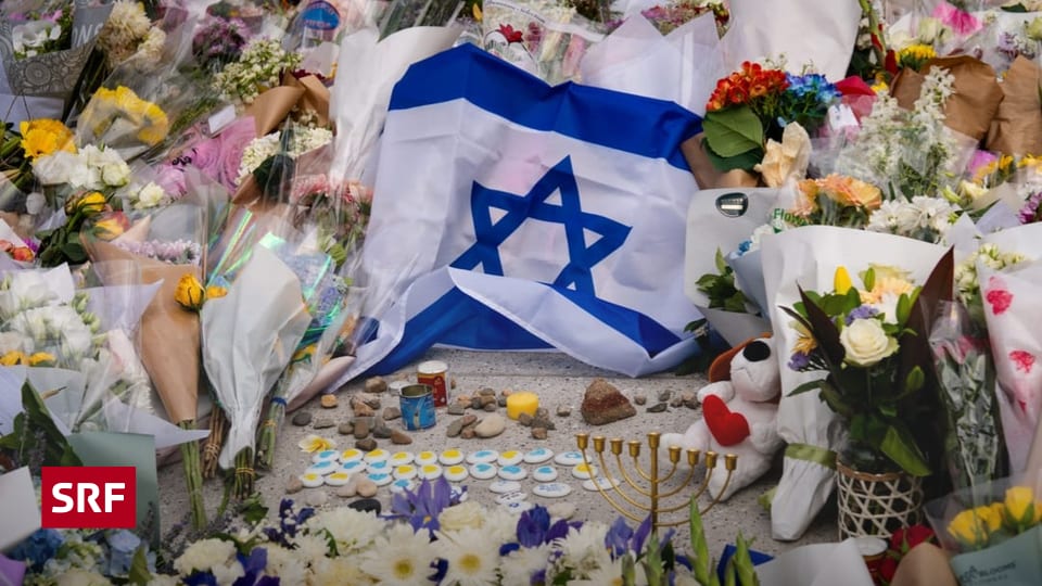 Kulturnews-in-Kurzform-Bondi-Beach-Drei-Tonnen-Trauerblumen-werden-zu-Kunst