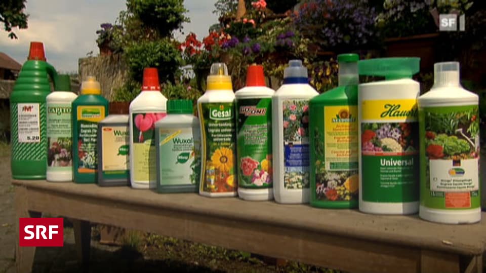 hund hat aloe vera gefressen was tun Premium Pflegetücher AloeVera