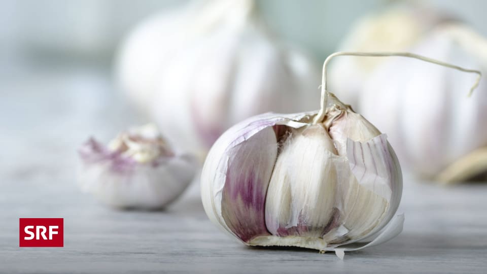 Lifestyle - Knoblauch essen ohne Fahne - Puls - SRF