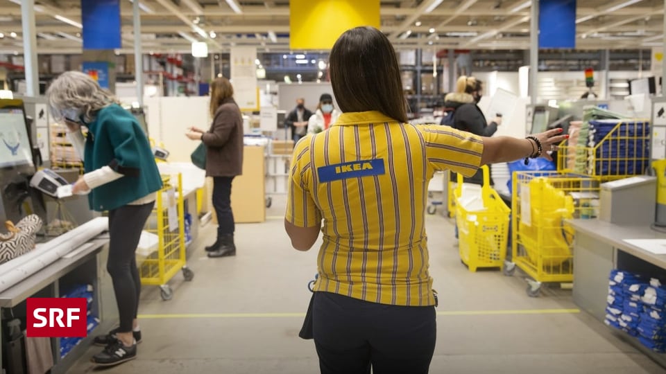 Cheap furniture – IKEA criticized again over deforestation – Espresso cash register smashed