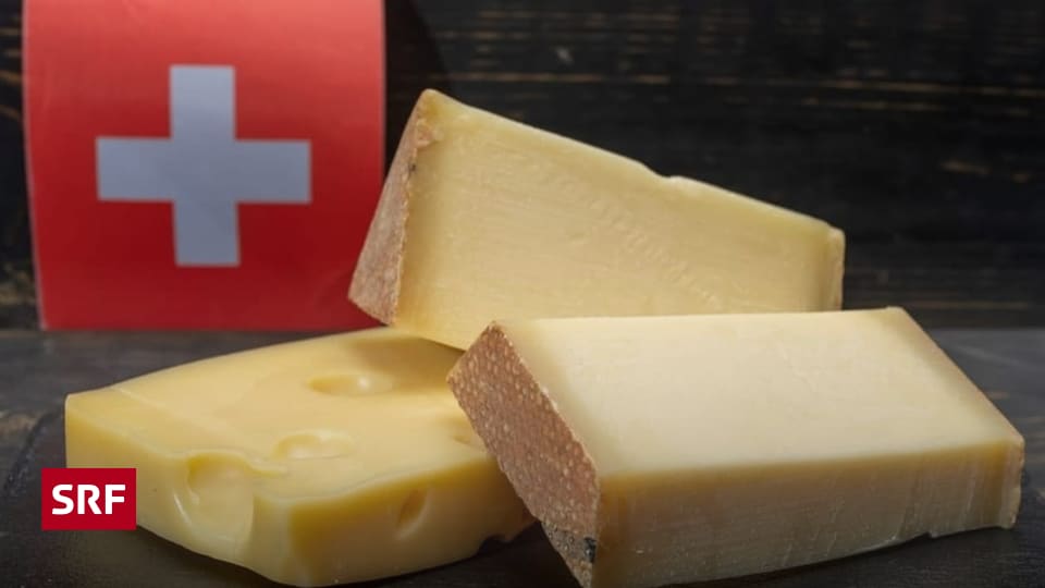 Schweizer Käse: Warum Bakterien den Unterschied machen - Wissen - SRF