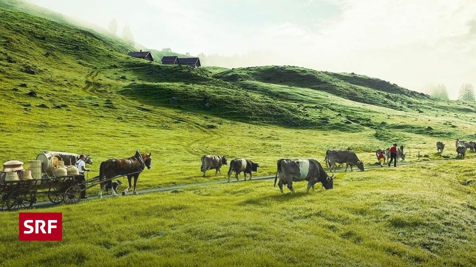 Wann Kommt Ostwind 3 Im Fernsehen