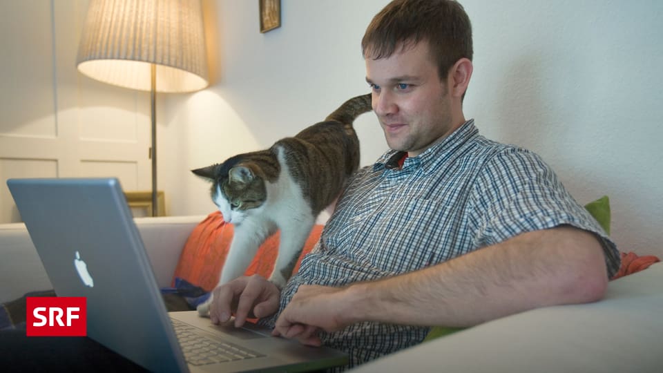 12+ Internet Ohne Kabelanschluss Schweiz Pics