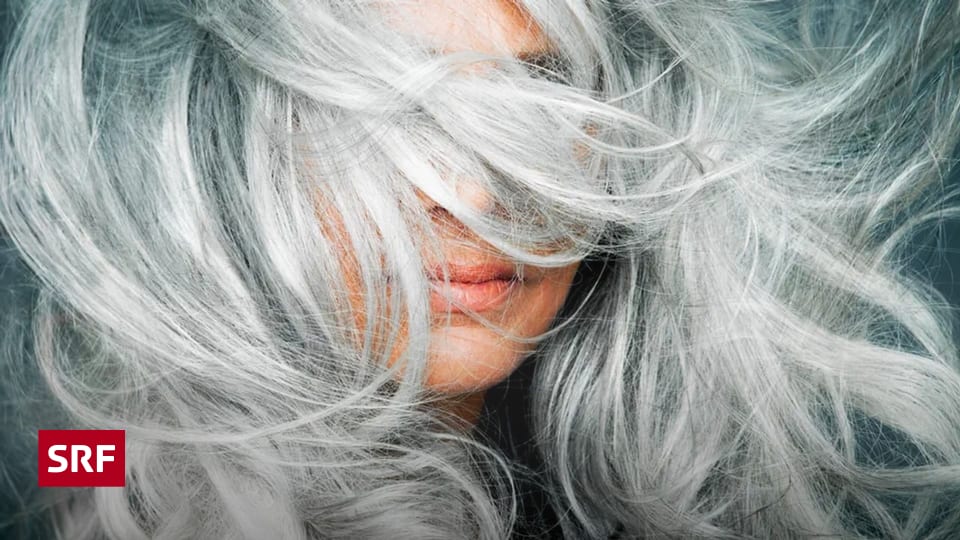 Das-Beliebteste-aus-der-Kultur-Graue-Haare-und-blaue-Augen-Die-meistgelesenen-Geschichten-2025