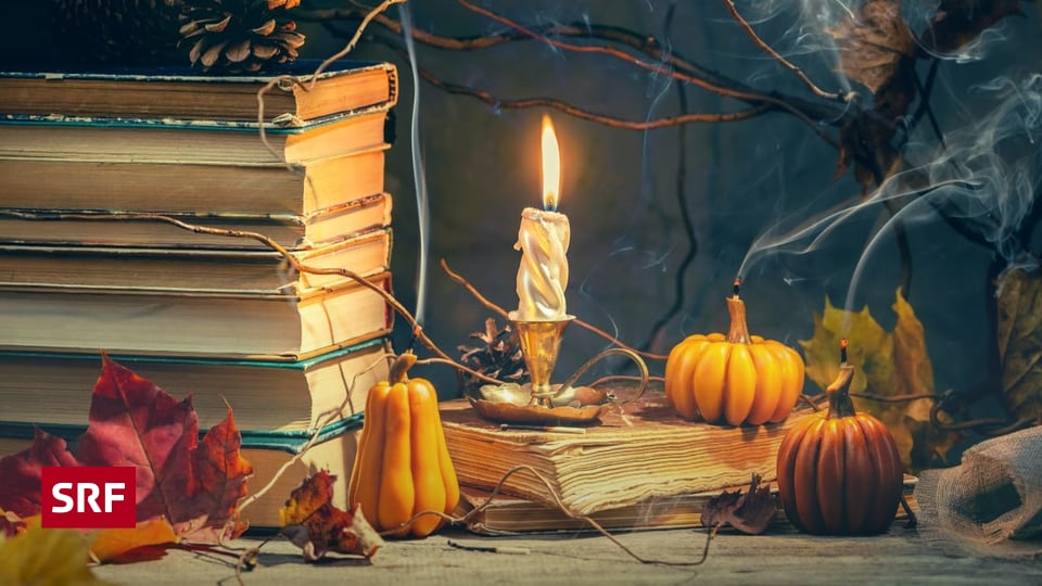 -Alchemised-von-SenLinYu-Es-begann-als-Harry-Potter-Fanfiction-und-wurde-zum-Bestseller