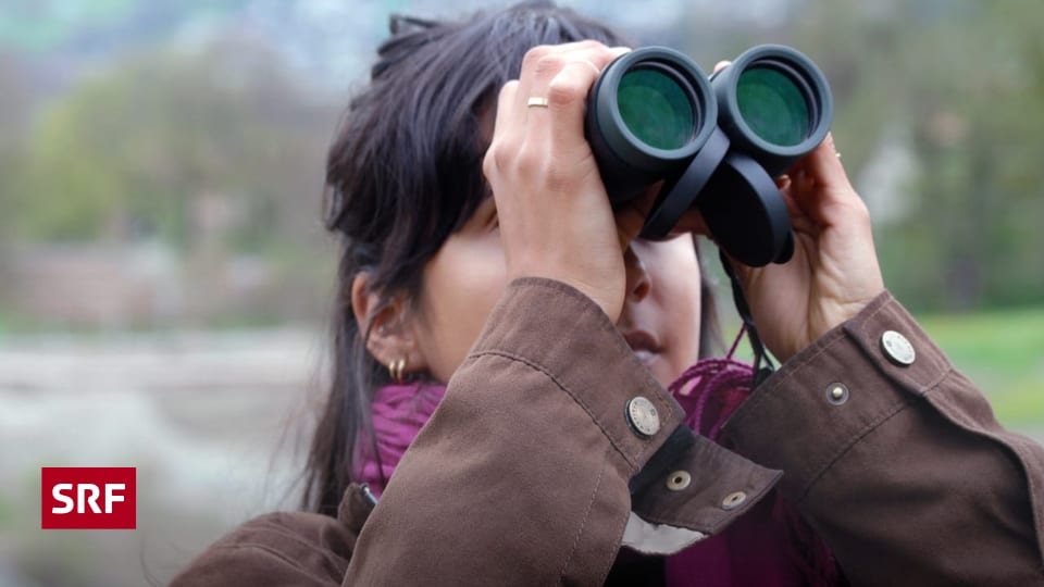Birdwatching-Boom-V-gel-geben-mir-einen-Adrenalin-Kick-