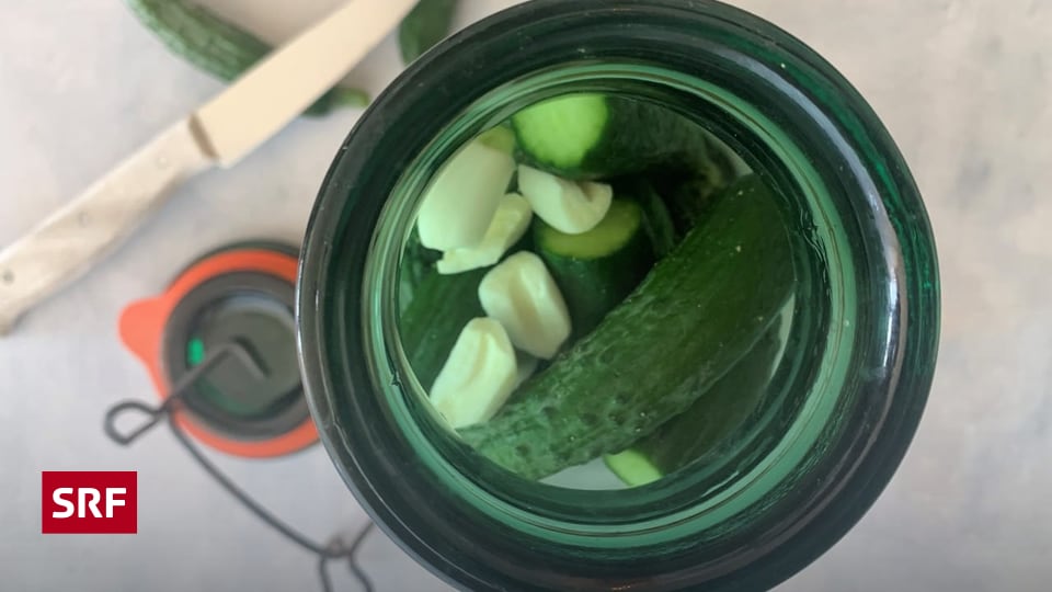Rezept: Saure Salzgurken mit Knoblauch - Radio SRF 1 - SRF Rezept: Saure Salzgurken mit Knoblauch - Radio SRF 1 - SRF