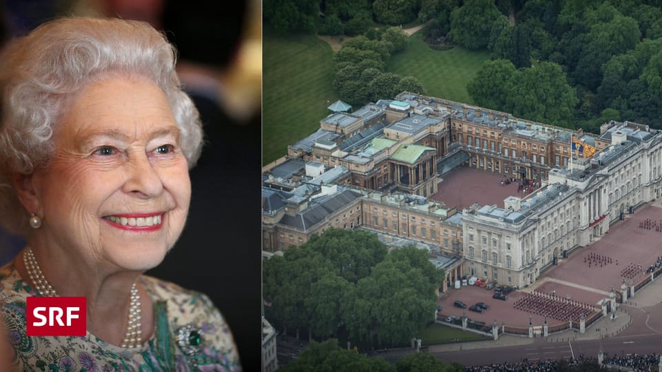 Royal Majestätische Magic Mushrooms Bei der Queen spriessen die