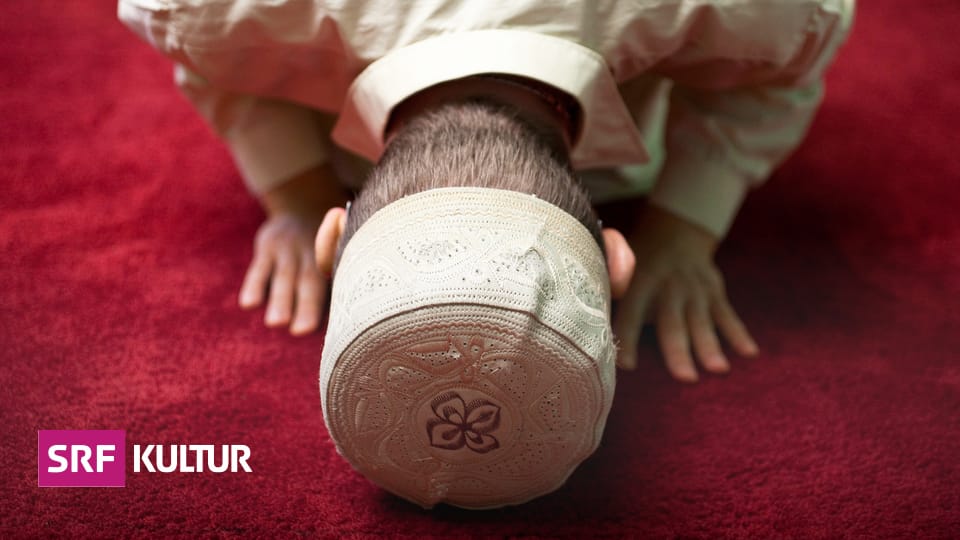 Gesellschaft & Religion «Die Radikalisierung ist ein