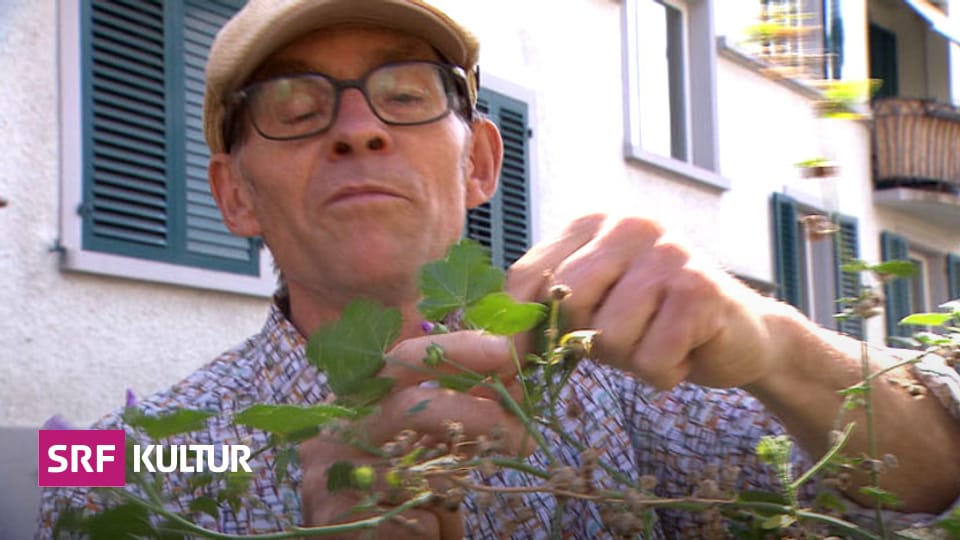 Gesellschaft & Religion GuerillaGärtner macht die Stadt essbar