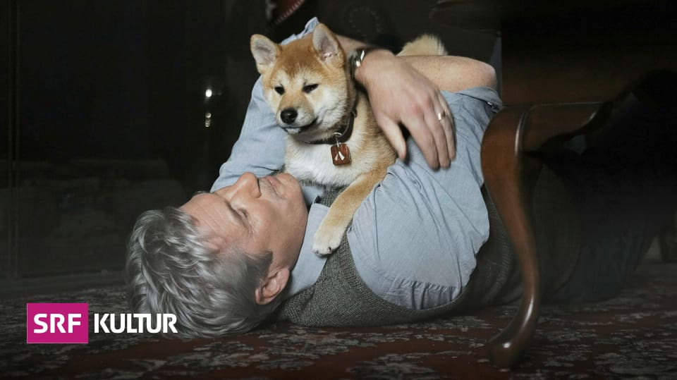 Spielfilm «Hachiko» Der treuste Hund aller Zeiten Kultur SRF