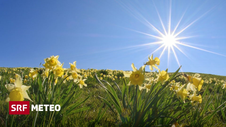 Bild des Monats Wählen Sie jetzt das schönste Bild des Monats April