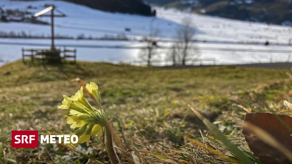 Temperatursturz - Nach neuen Temperaturrekorden wird es wieder ...