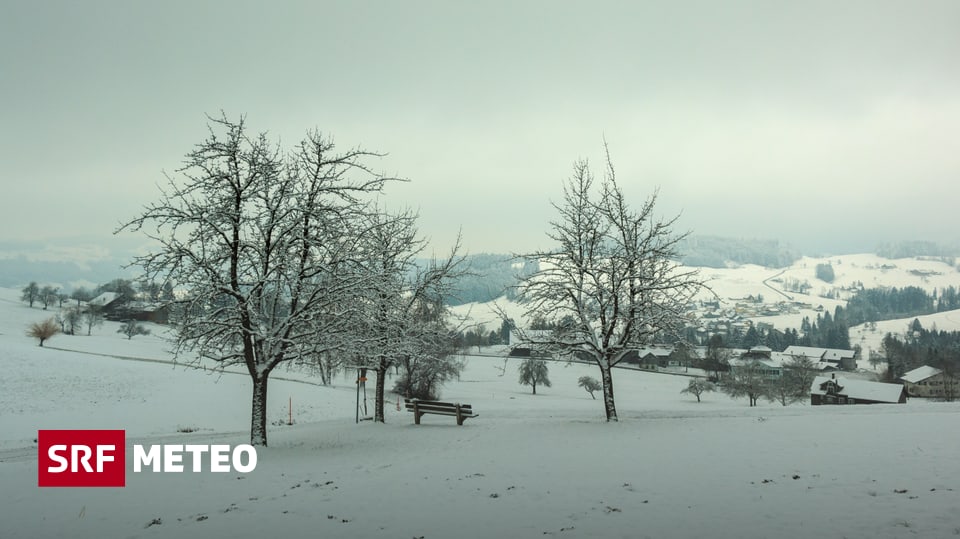 Das Wetter im Februar Eisig, dazu trüb wie selten zuvor Meteo SRF
