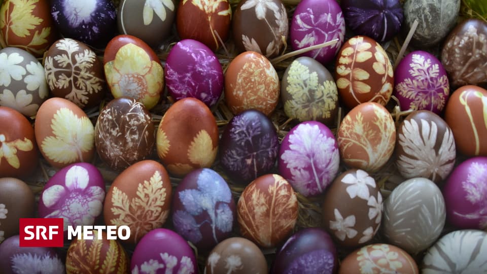 Ostern 2025 Schweizer Fernsehen Jessie Charlotta