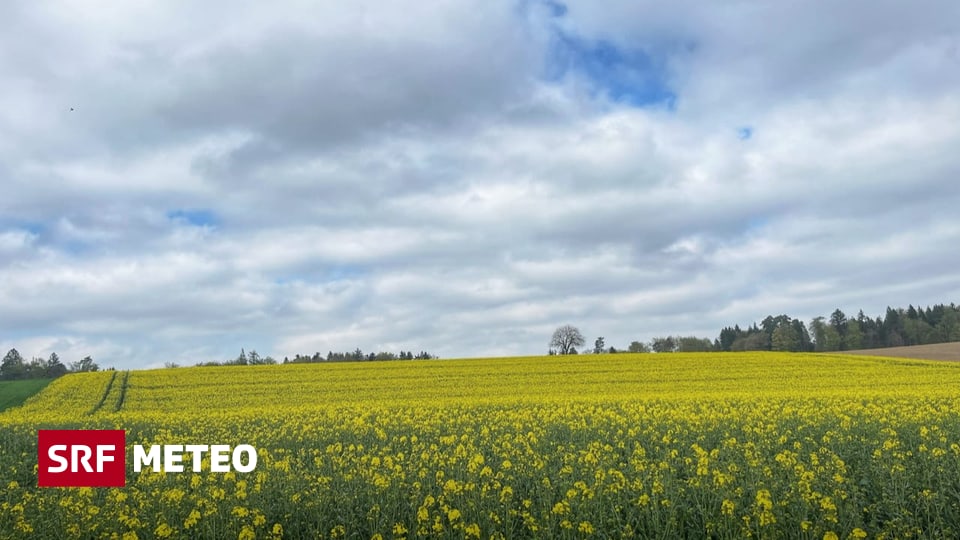 „Die besten Bilder: Schafft es Ihr Foto in die Top 3?“ - Meteo - SRF