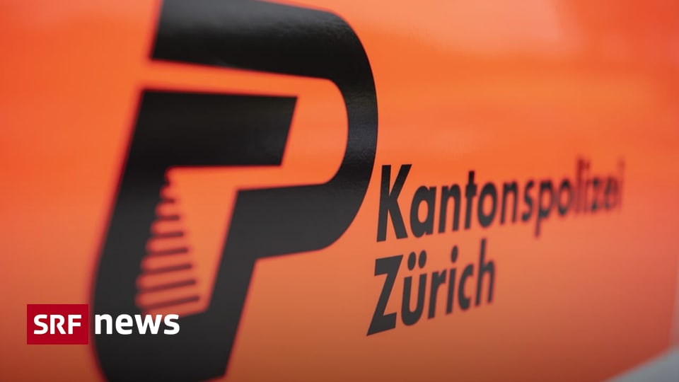 Volketswil: Polizei findet 20 Schusswaffen bei psychisch krankem 48-Jährigen — image 1