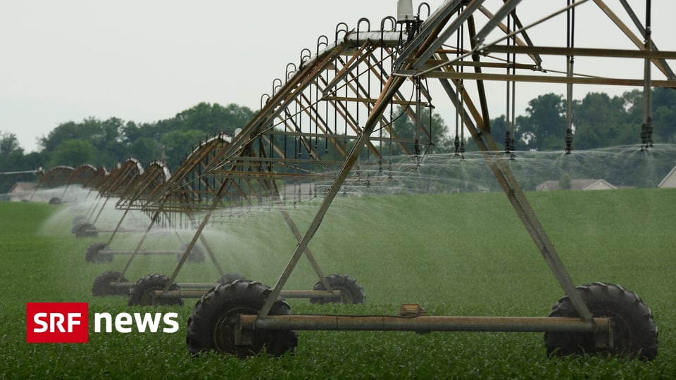 International - EU-Landwirtschaft soll grüner werden - News - SRF