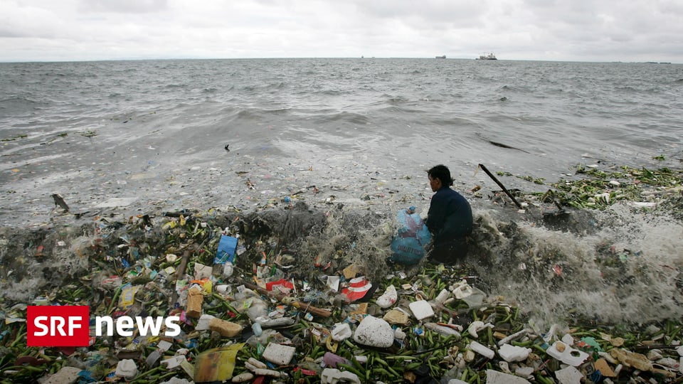 International - Lärm und Plastik setzen den Weltmeeren zu - News - SRF