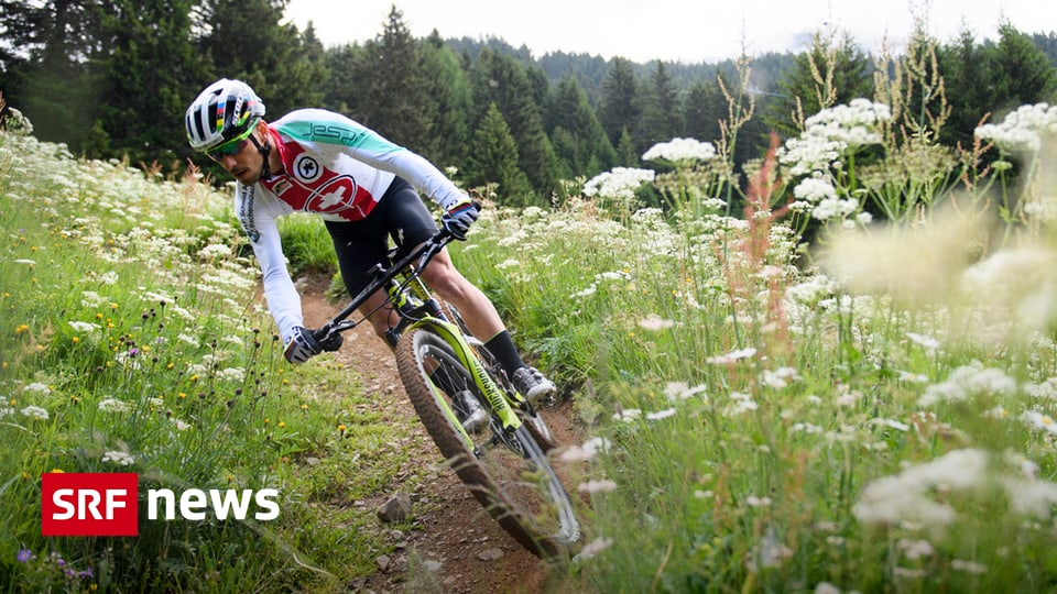 Modellbau Handsäge Set - 4 Präzisionssägen Für Basteln Holz Kunststoff