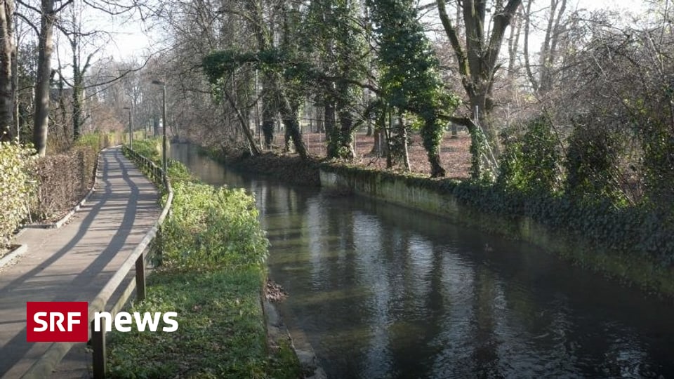 Basel Baselland Scharfe Auflagen für mögliches Kraftwerk am St.Alban