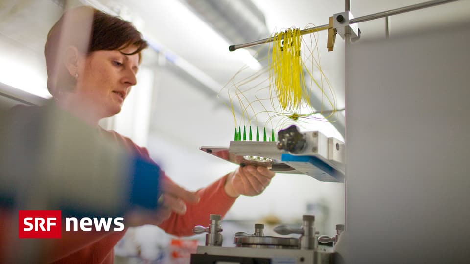 Schweiz Jobs für Mütter Kaum Teilzeit, kaum Verantwortung News SRF