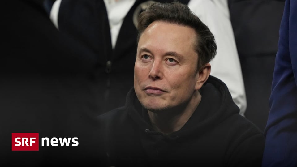Elon Musk: «EU sollte abgeschafft werden»