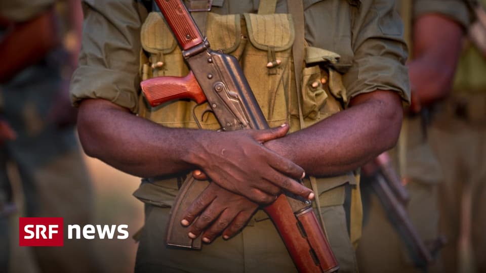 Zentralafrikanische Republik Regierung schliesst Frieden mit Gruppen News SRF