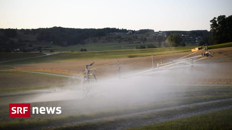 Landwirtschaft im Klimawandel - Macht der Staat sich vom Acker? - News