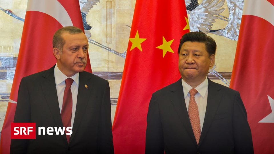 Partnersuche türkei