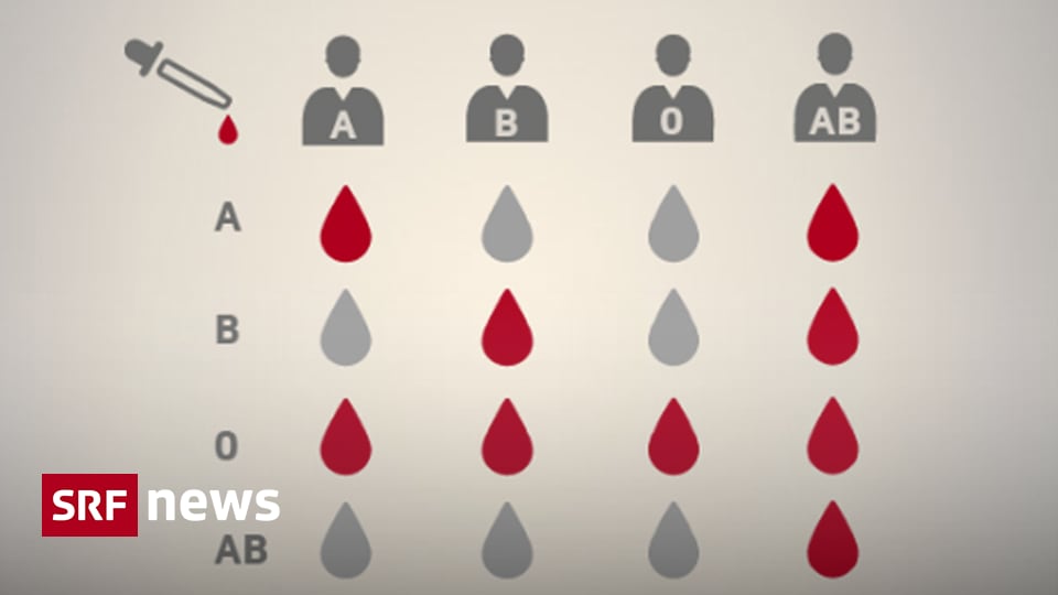 Infografik Blut Kaum jemand spendet fast alle brauchen es News SRF Infografik Blut Kaum jemand spendet fast alle brauchen es News SRF