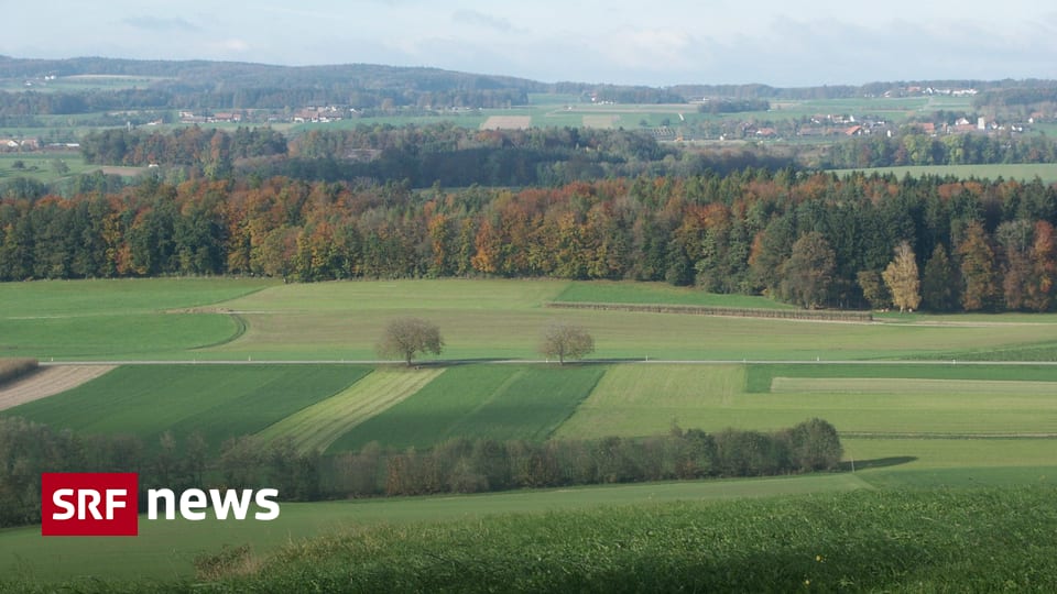 Ostschweiz - Thurgauer Landwirtschaft verliert an Fläche - News - SRF