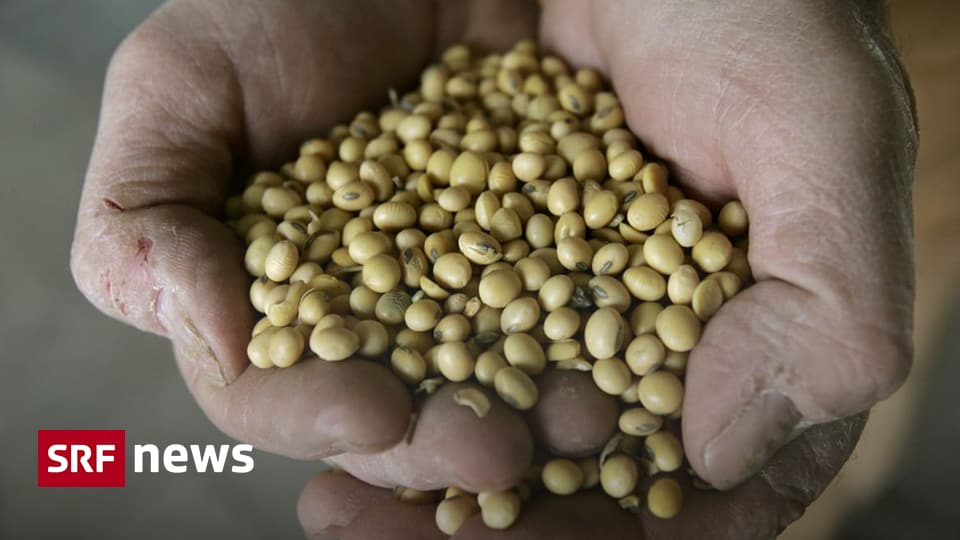 New EU supply chain law could make soy products more expensive – News