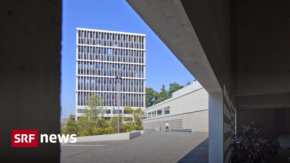 PKK-Mitgliedschaft als Gefahr - Schweiz darf türkischem Kurden das Asyl ...