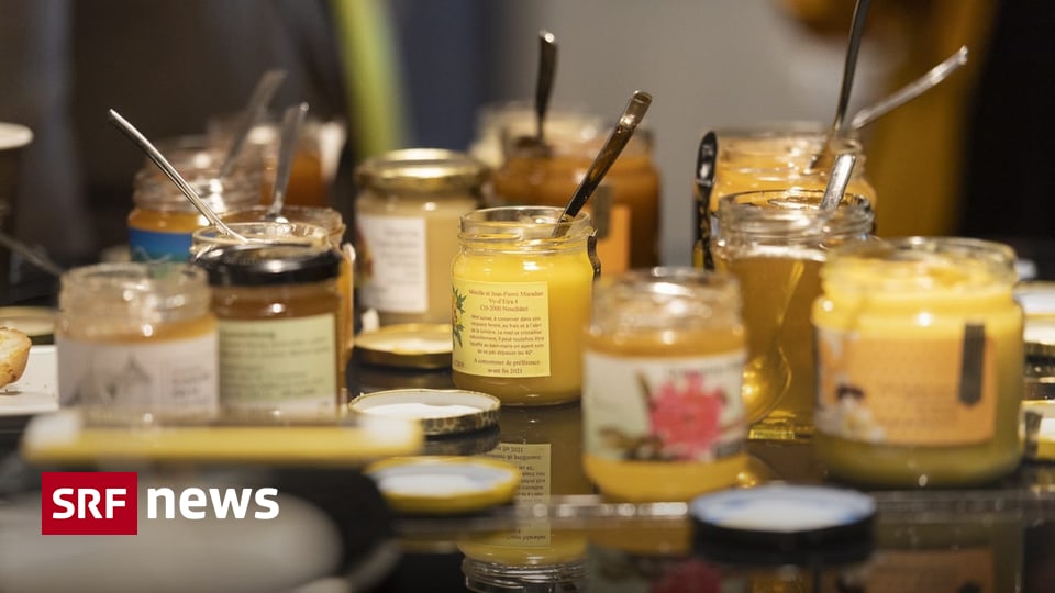 New EU rules – honey must be better labeled – News