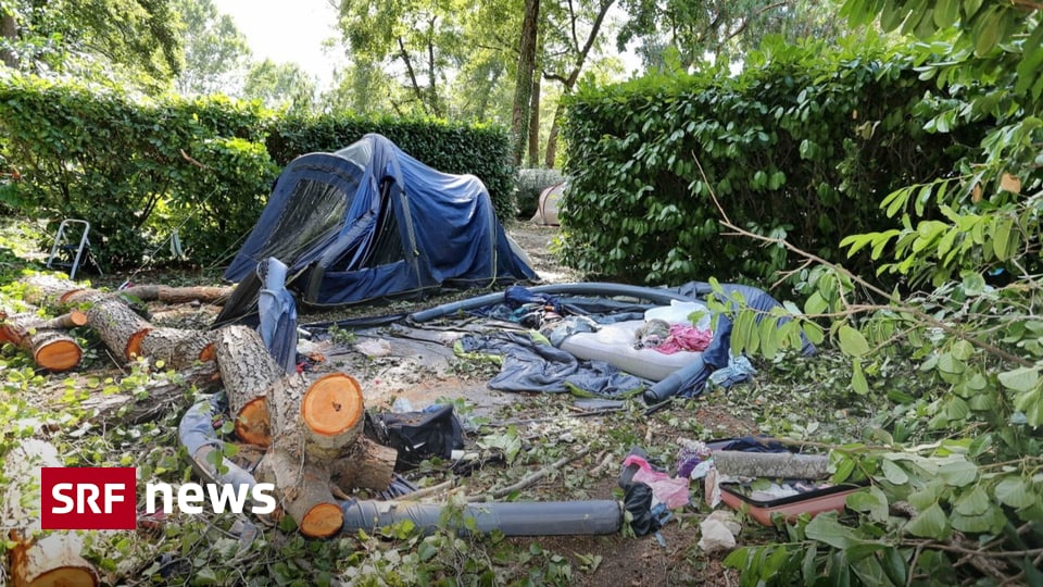 Fallen trees – Storm rages in Europe: 13 dead – News