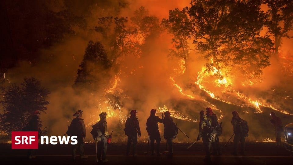 Panorama - Neue Feuerwände in Kalifornien - News - SRF