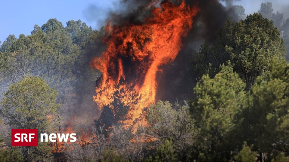 U.S. Wildfires – New Mexico State evacuates thousands due to wildfires – News