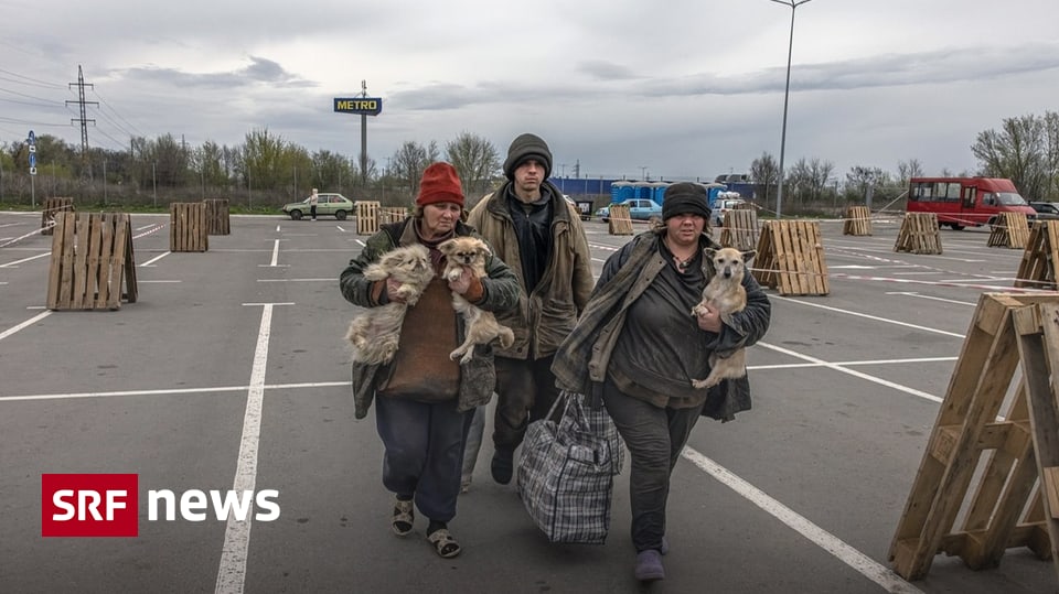 War in Ukraine – Poles increasingly suspicious of Ukrainian refugees – News