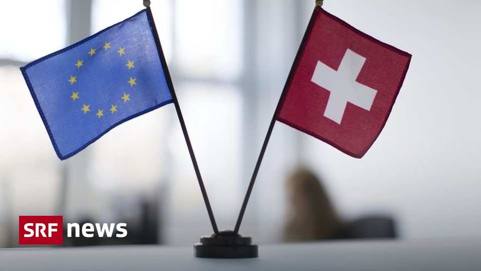 Fomo Alert Was Der Rwe Chef Über Die Eu Importpläne Jetzt Sagt Sollten Sie Hören - 0o0ps02